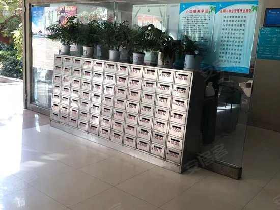 中环金界(办公) 