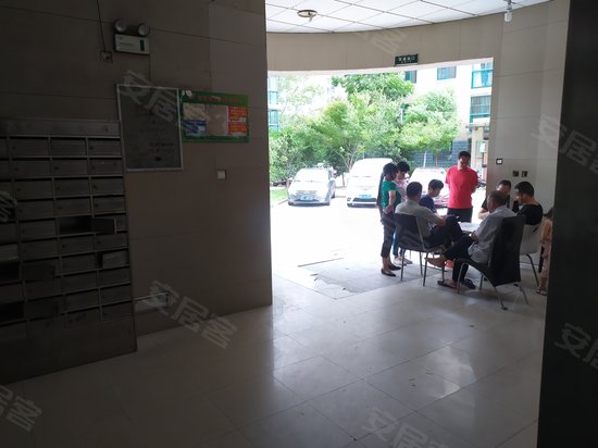 新洲人家(商住楼) 