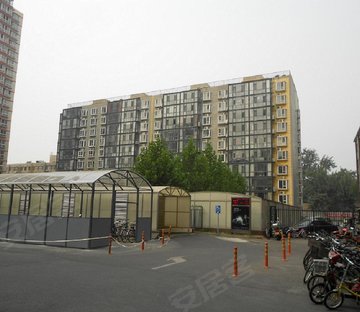 学院派