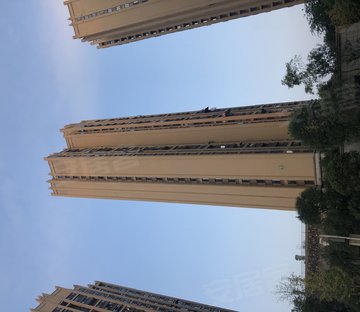 正泰玫瑰园