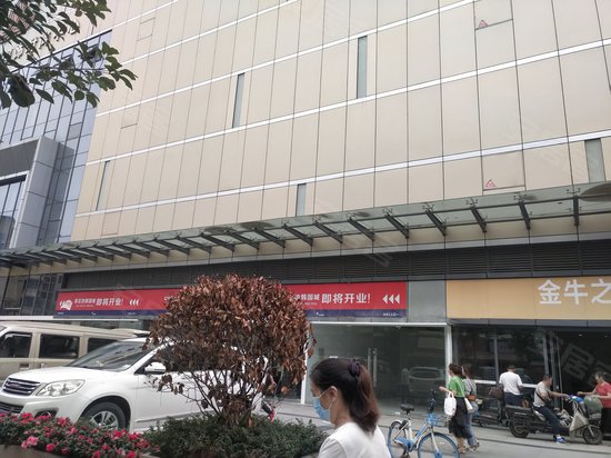 金牛之心伊厦荷花池广场