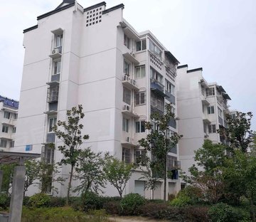 青东苑