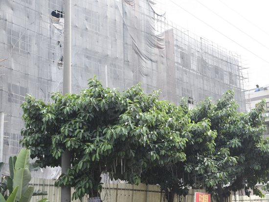 丰禾园物流中心办公楼 