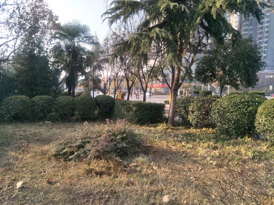 旌旗电子科技产业园 