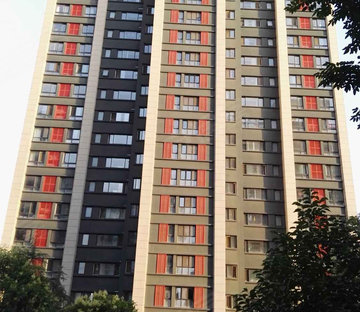 白桦林明天(南区)