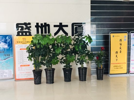 盛地大厦(办公) 