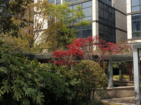 全通上海金融谷 