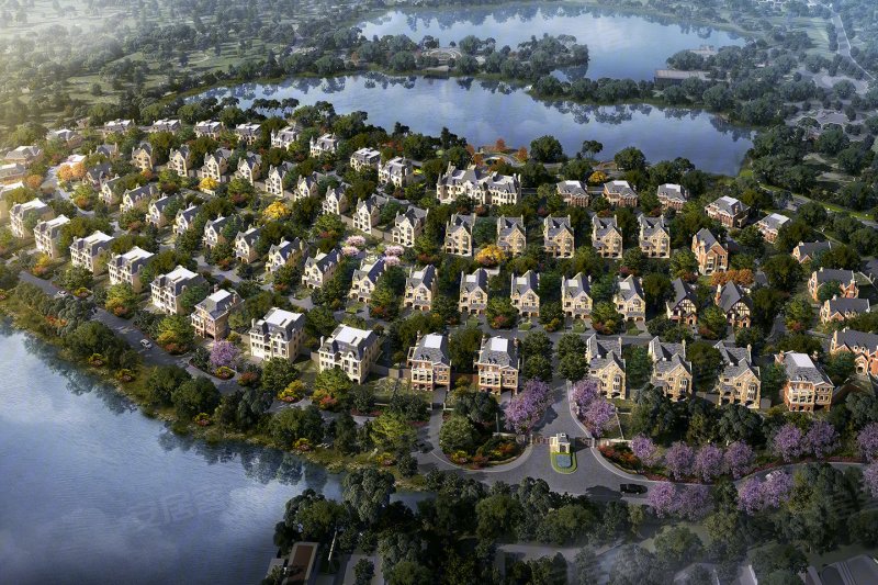 中洲琥珀屿新房