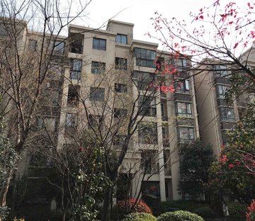 新华阳光国际