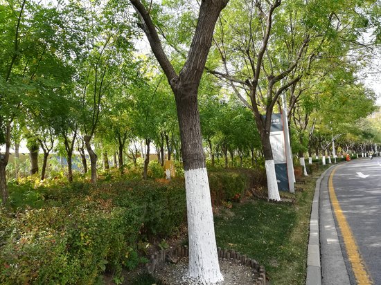 创展大厦(滨海) 