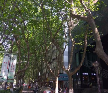 中山东路180号小区