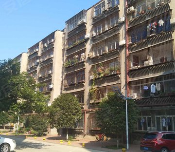市教育局家属院