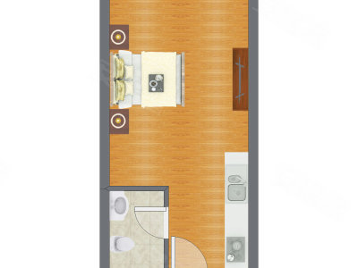 1室0厅 38.50平米