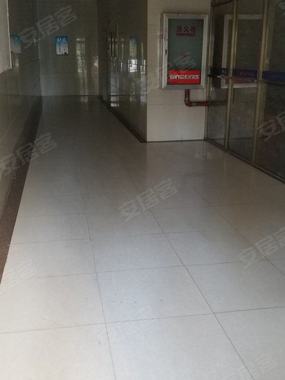 普提金国际公寓 