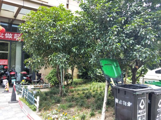 青苹果商务广场 