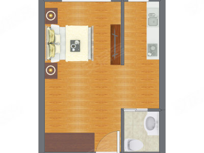 1室0厅 43.00平米户型图