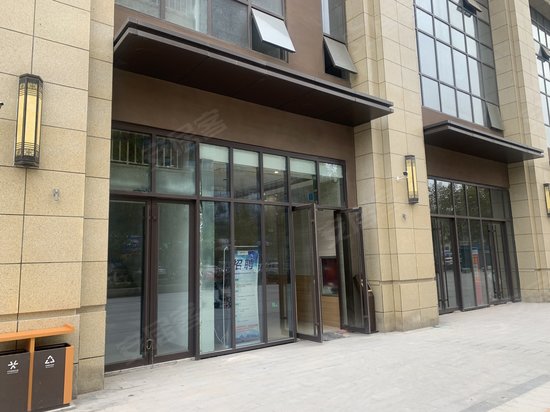 新合鑫紫荆之星 