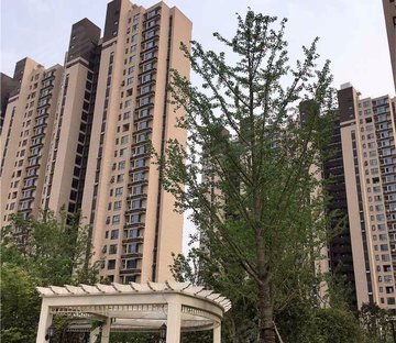 莱蒙水榭阳光