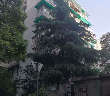 孩儿巷小区图片