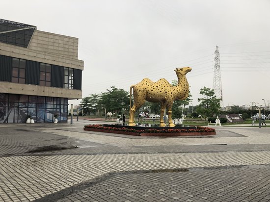 碧桂园星港国际