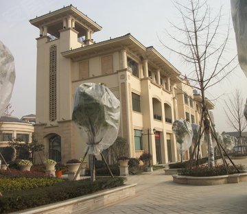 迎宾路3号(别墅)