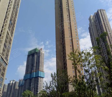 卓越浅水湾