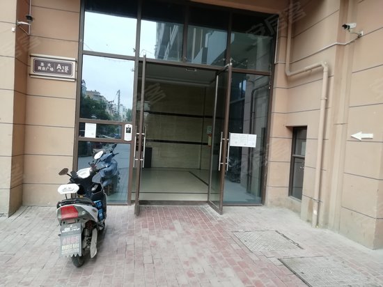 圣达国际阳光5米6