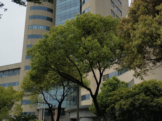 宝钢浦东国贸大厦 