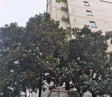 翠岛花城蔷薇苑