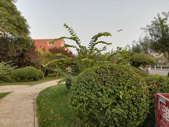 津滨发展科技园区 