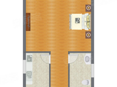 1室0厅 47.50平米