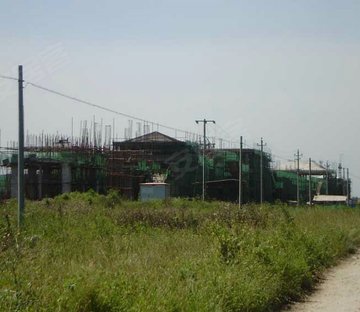 泰富橄榄树(别墅)