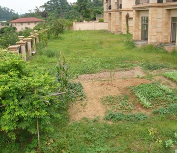 金湖花园(别墅)