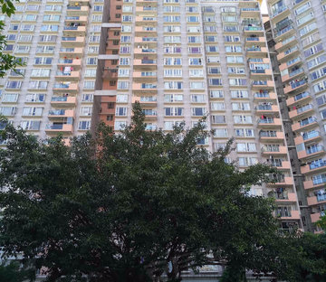 黄埔雅苑翠悠园