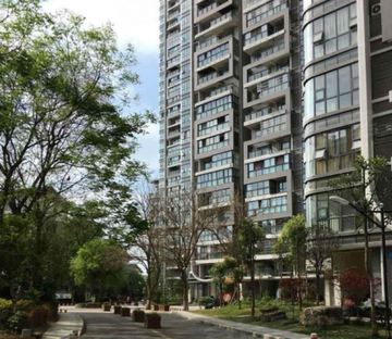 布鲁斯国际新城