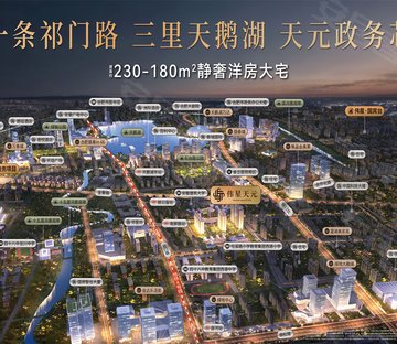 伟星天元