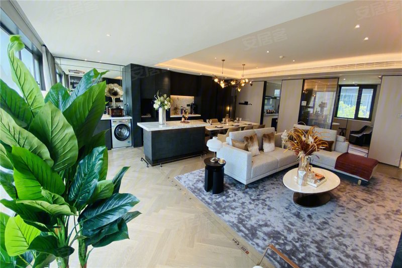 洛阳中心公元印 大平层 改善天花板 邻泉舜正大团购无任何费用