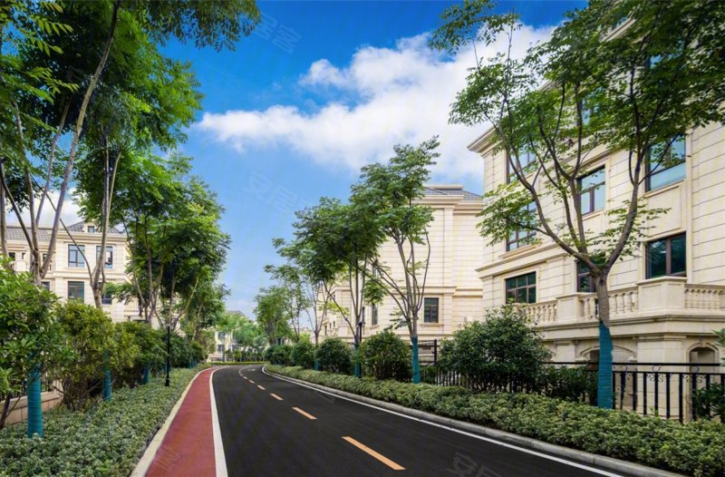 中建汤逊湖壹号新房