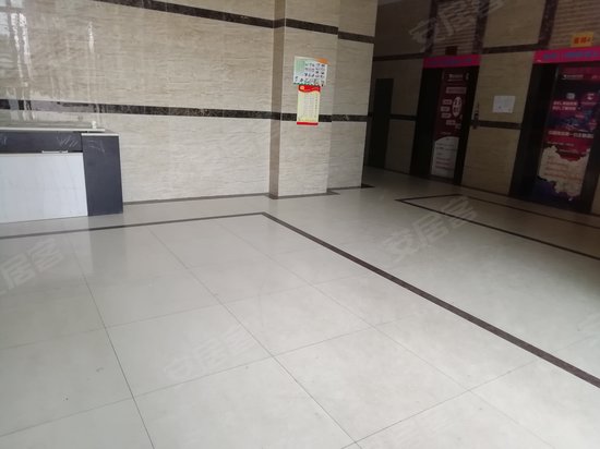 圣达国际阳光5米6 