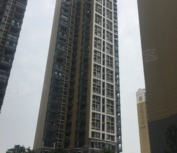 恒泰城果