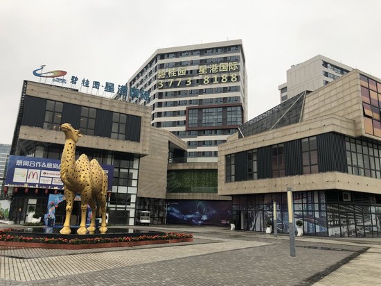 碧桂园星港国际 