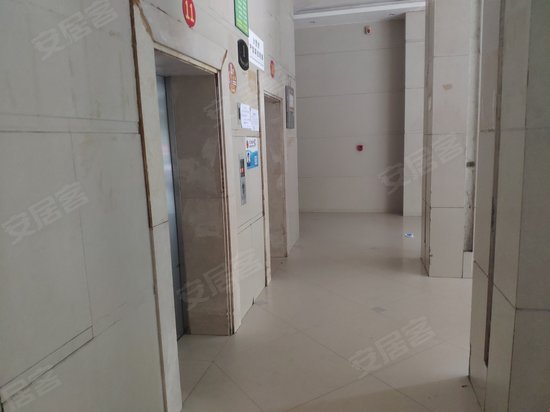 迷你星座水瓶座 