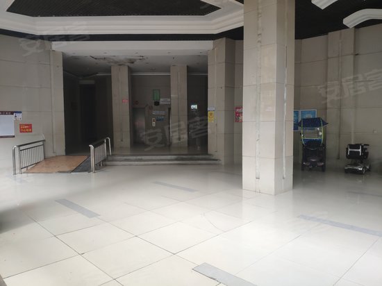 迷你星座水瓶座 