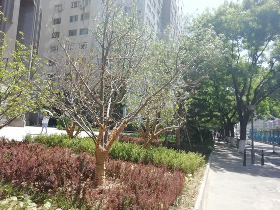 惠新西街甲15楼 