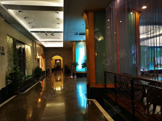 新大厦国际公寓 