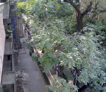 颐和路小区