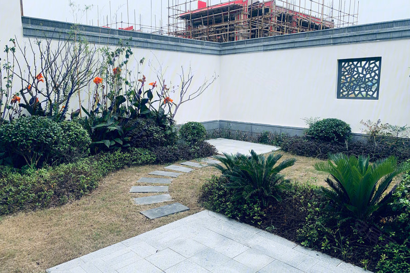 大浦田园居 生态宜居 好山好水好风景 回归田园生活