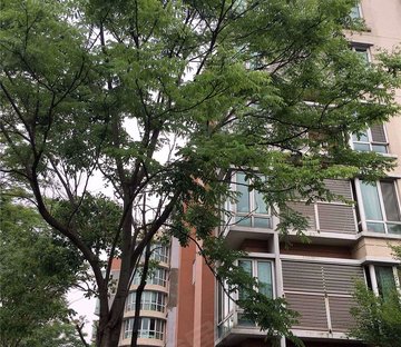 翠岛花城芳庭居