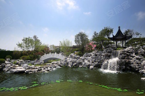 晋府玖号,解放路与姚孟街交汇处西北角20米 - 运城晋府玖号二手房