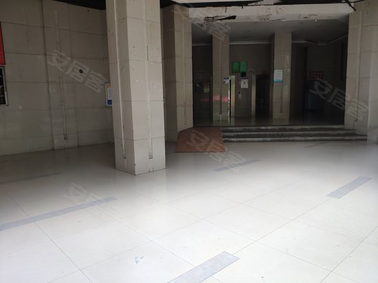 迷你星座射手座 